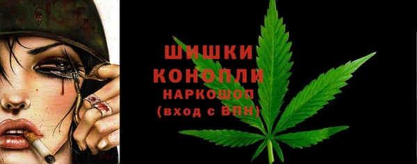 крисы Пересвет
