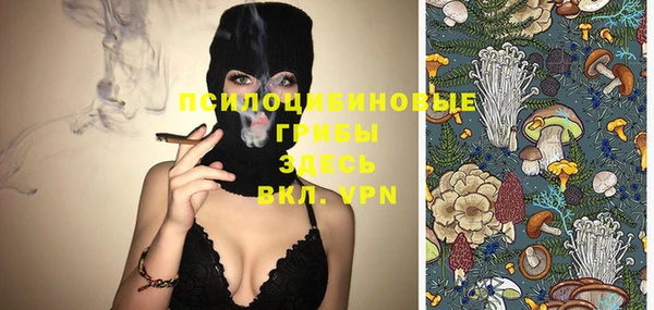 крисы Пересвет