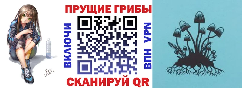 Галлюциногенные грибы прущие грибы Фёдоровский